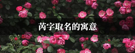 芮 名字 意思|有人用“芮”字取名，是什么寓意？